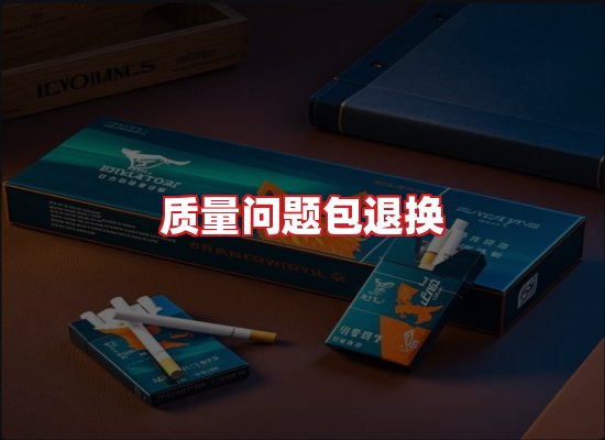 专业团队